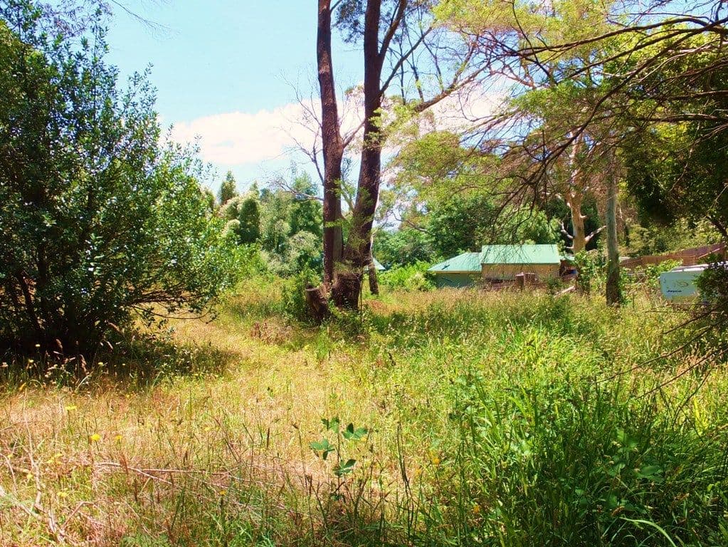 37 Victoria Street, MOUNT VICTORIA NSW 2786, Mount Victoria - Thumbnail 3