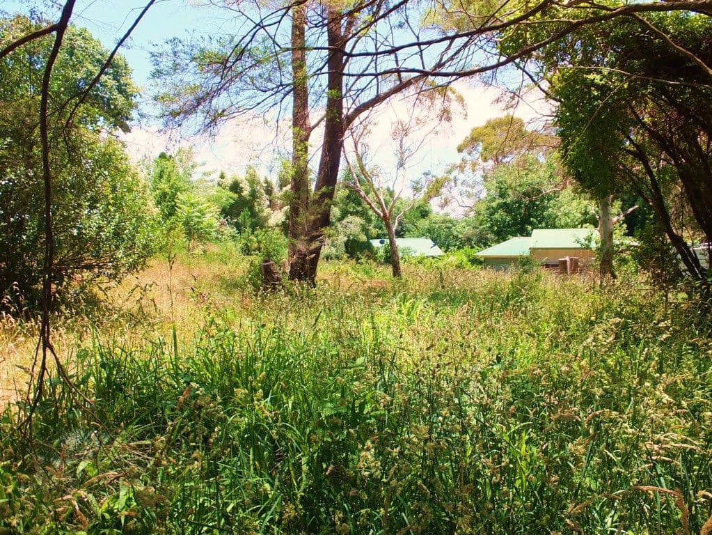 37 Victoria Street, MOUNT VICTORIA NSW 2786, Mount Victoria - Thumbnail 4