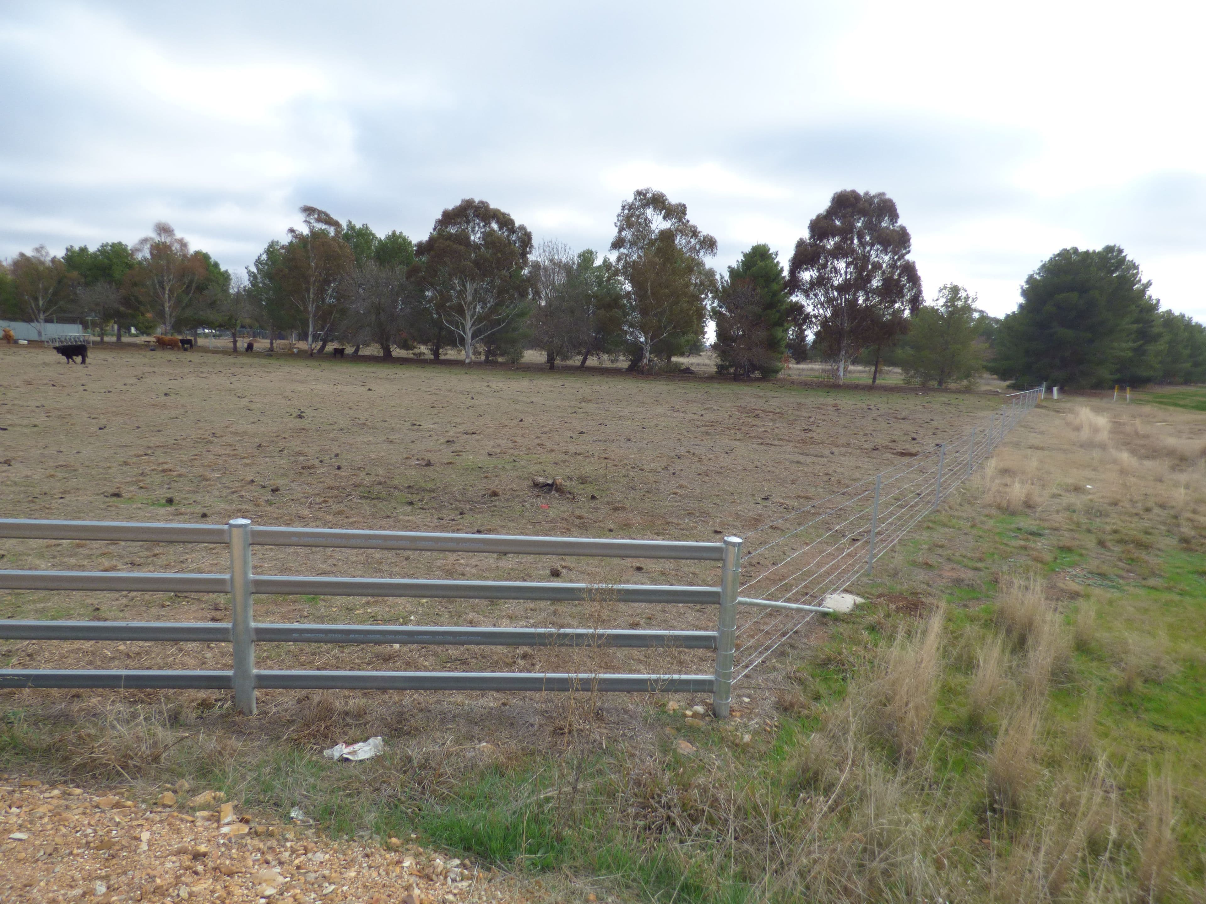 331A Calarie Road, Forbes NSW 2871, Forbes - Thumbnail 2