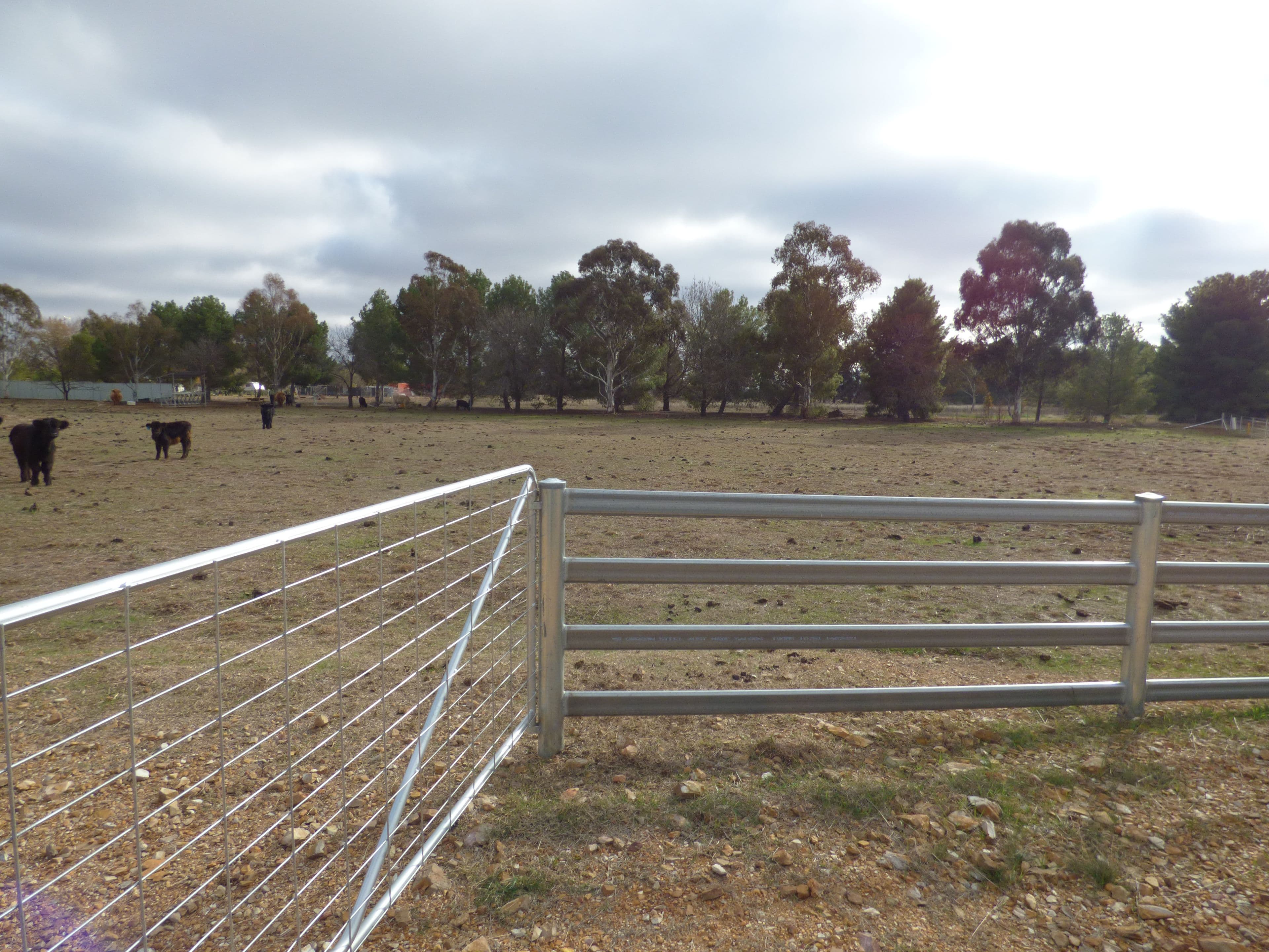 331A Calarie Road, Forbes NSW 2871, Forbes - Thumbnail 5