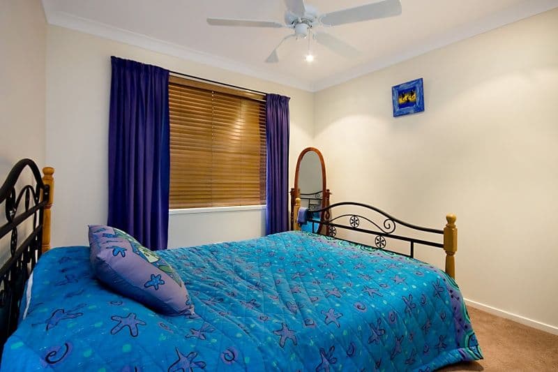 139 Weblands Street, ABERGLASSLYN NSW 2320, Aberglasslyn - Thumbnail 7