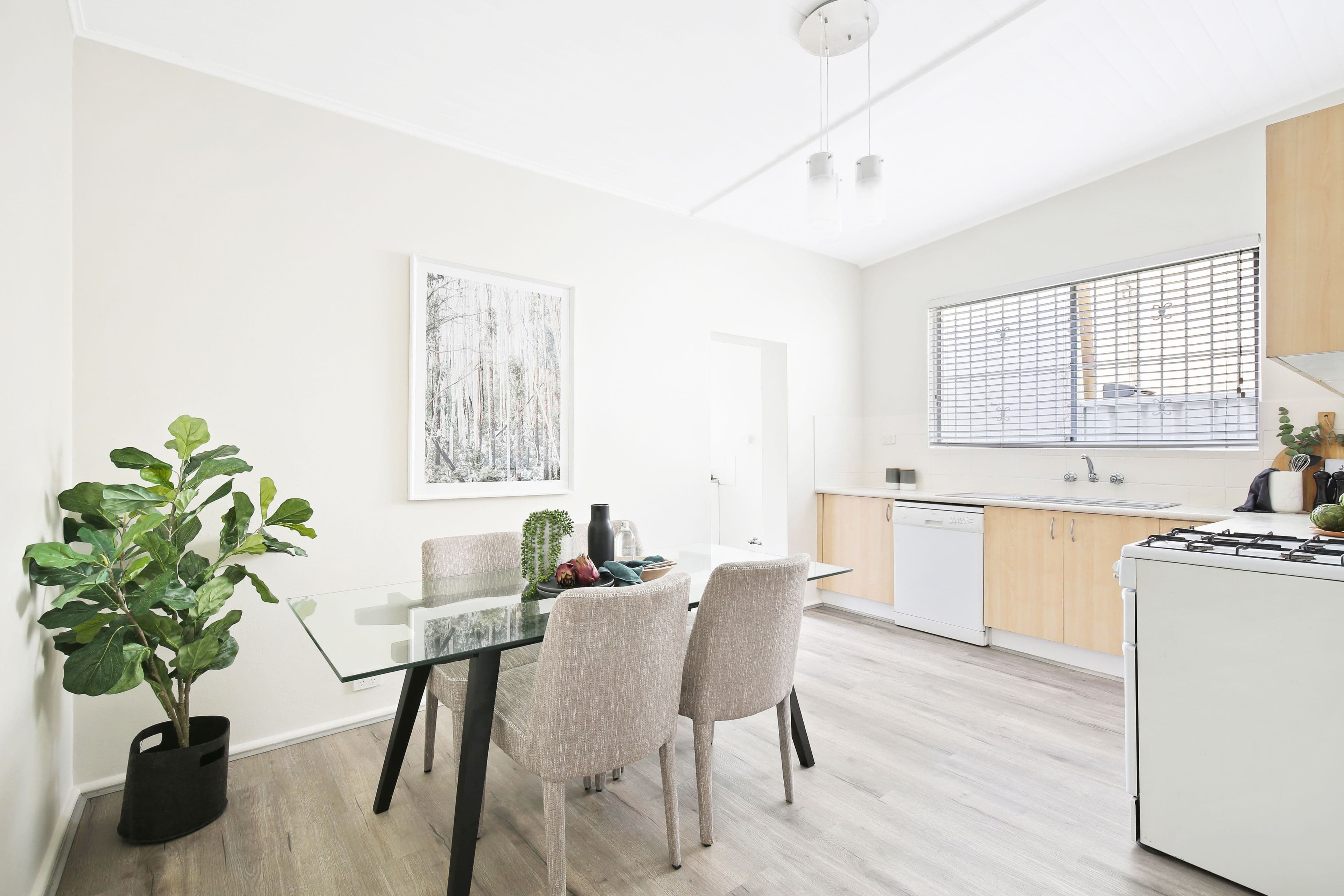 15 Lincoln Street, Stanmore - Thumbnail 3