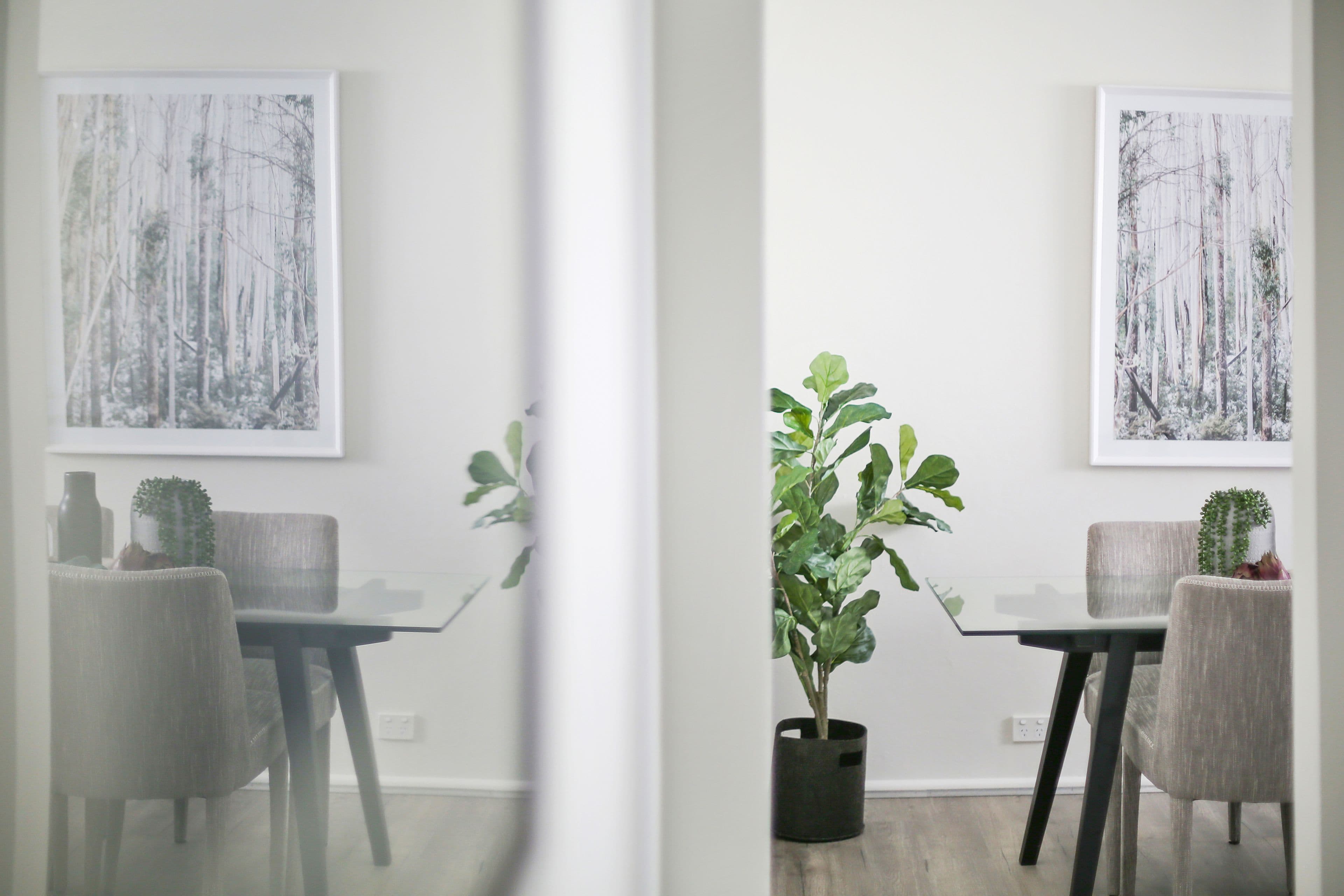 15 Lincoln Street, Stanmore - Thumbnail 5