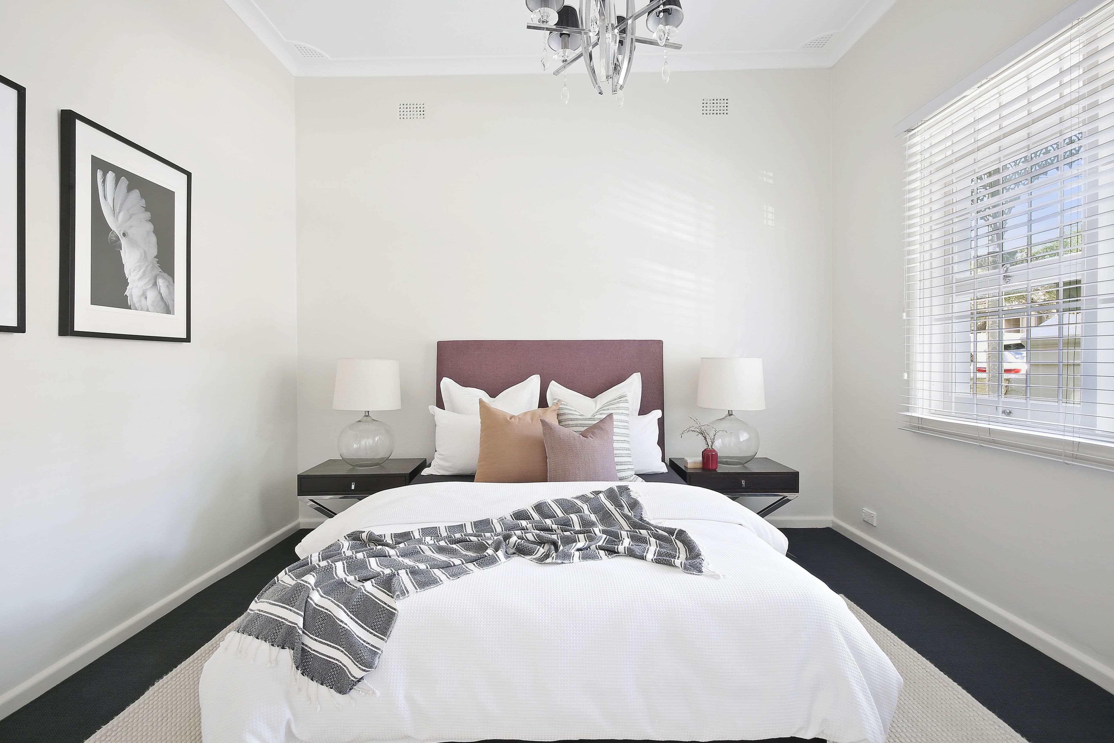 15 Lincoln Street, Stanmore - Thumbnail 7