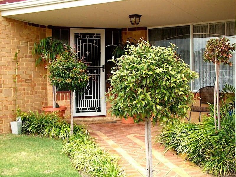 4 Madras Way, SOUTHERN RIVER WA 6110, Southern River - Thumbnail 5