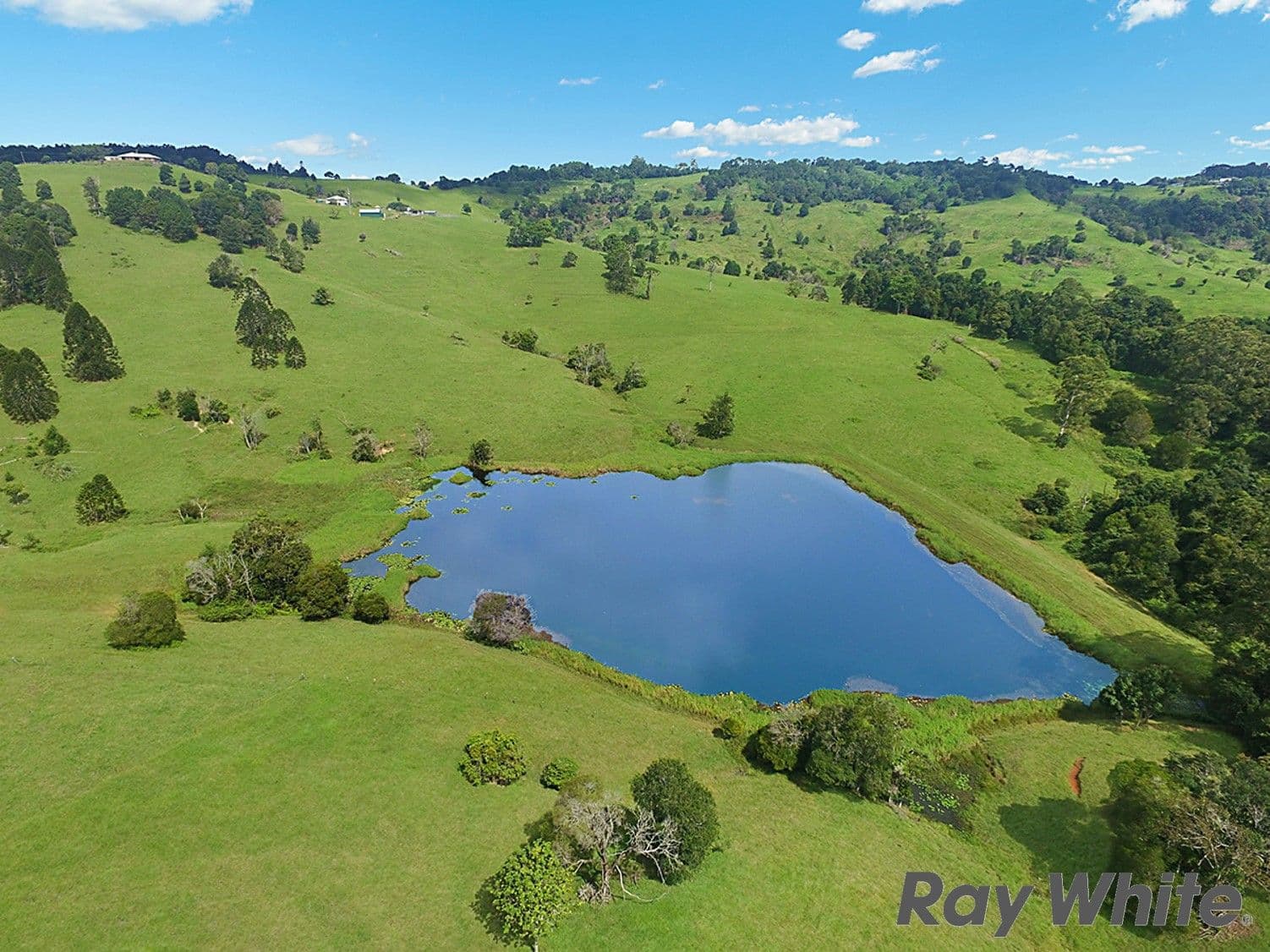 900a Maleny Stanley River Road, Booroobin QLD 4552, Booroobin - Thumbnail 2