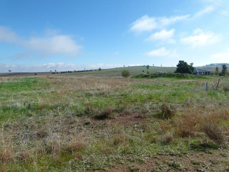 14 alcheringa Drive, FORBES NSW 2871, Forbes - Thumbnail 2