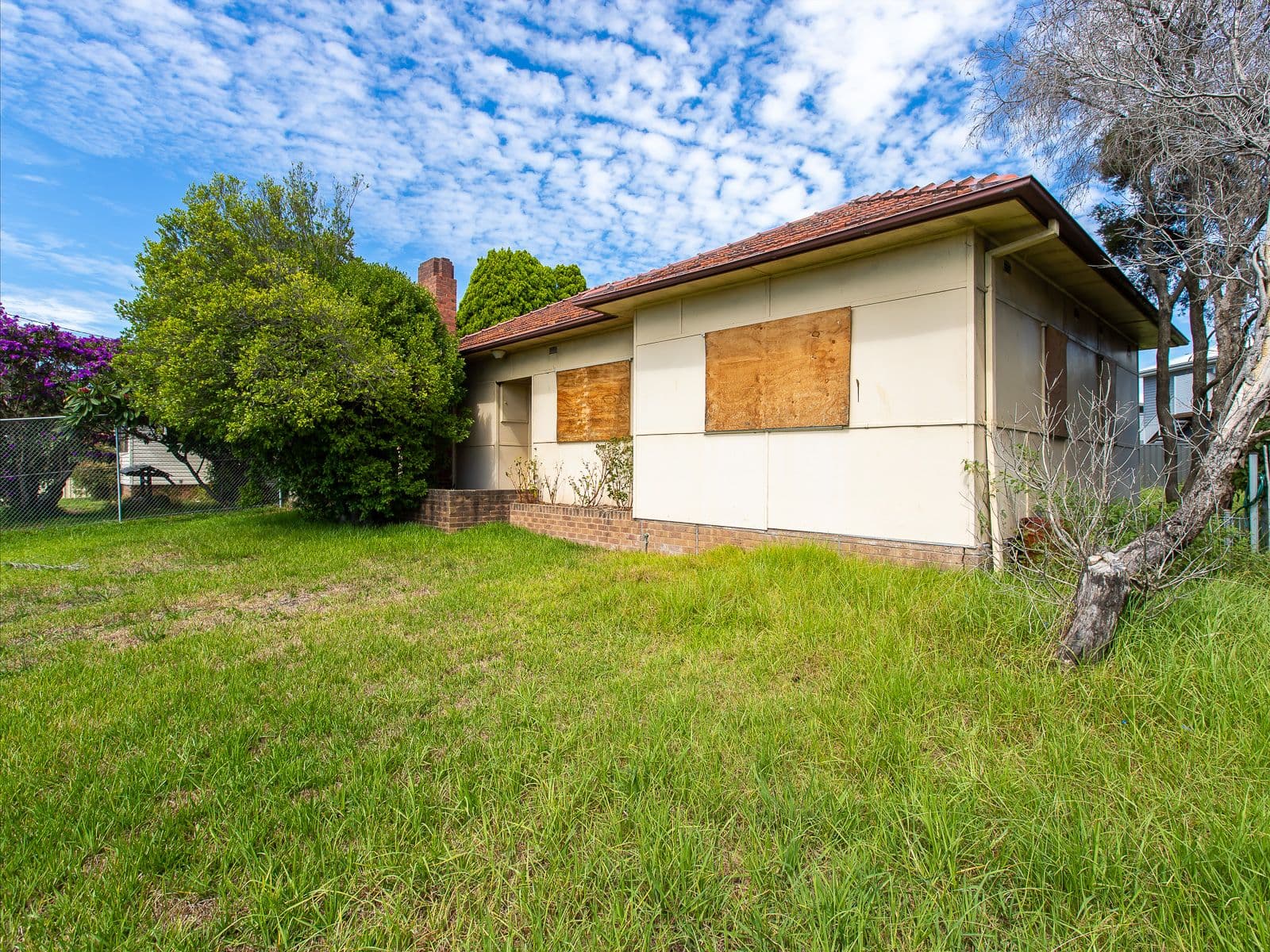 33 Young Road, Lambton - Thumbnail 4