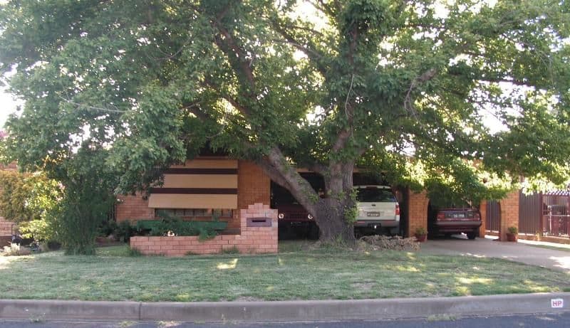 50 Corbett Avenue, DUBBO NSW 2830, Dubbo - Image 1