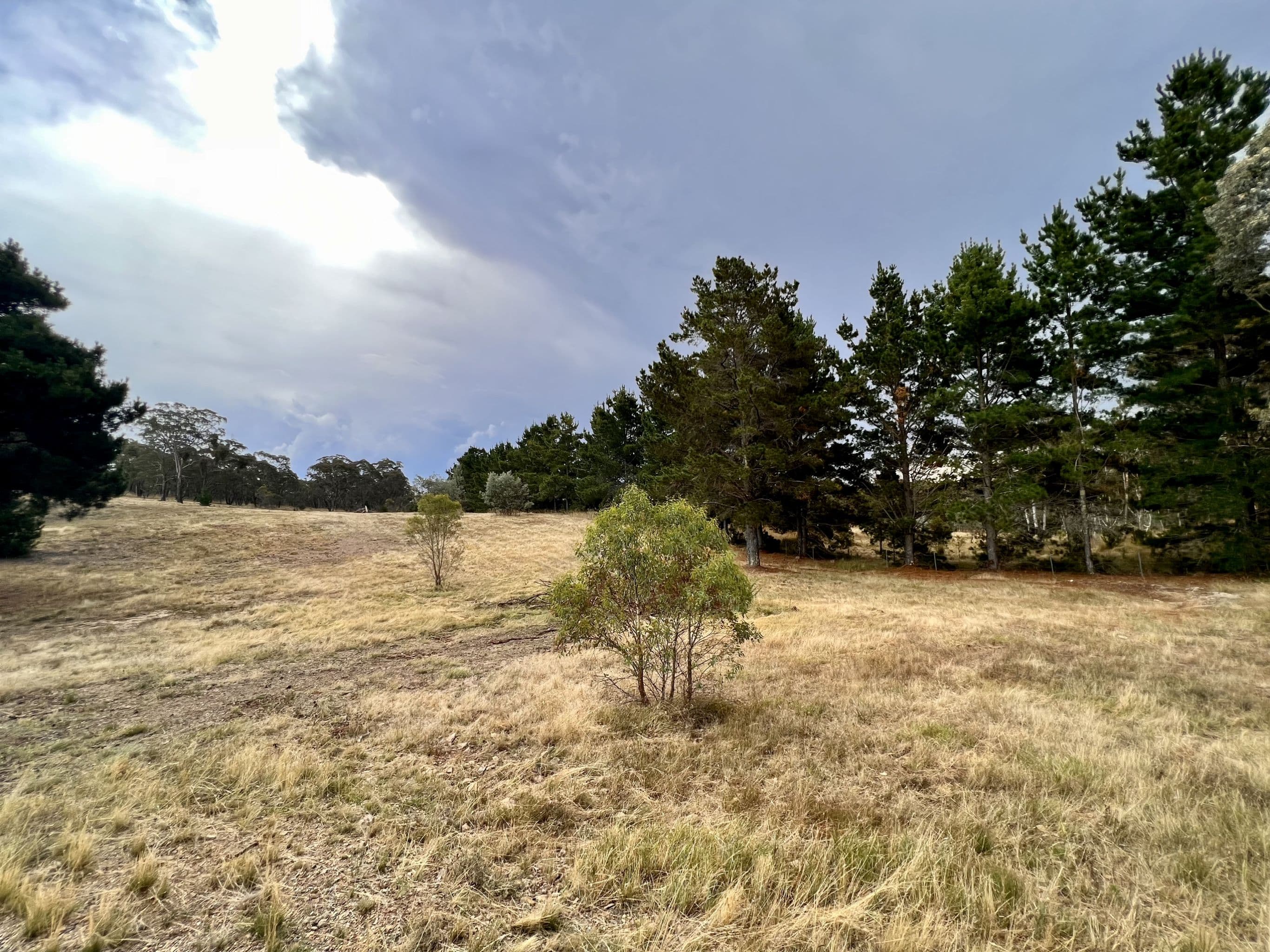 168 Newington Road, Bywong NSW 2621, Bywong - Thumbnail 2