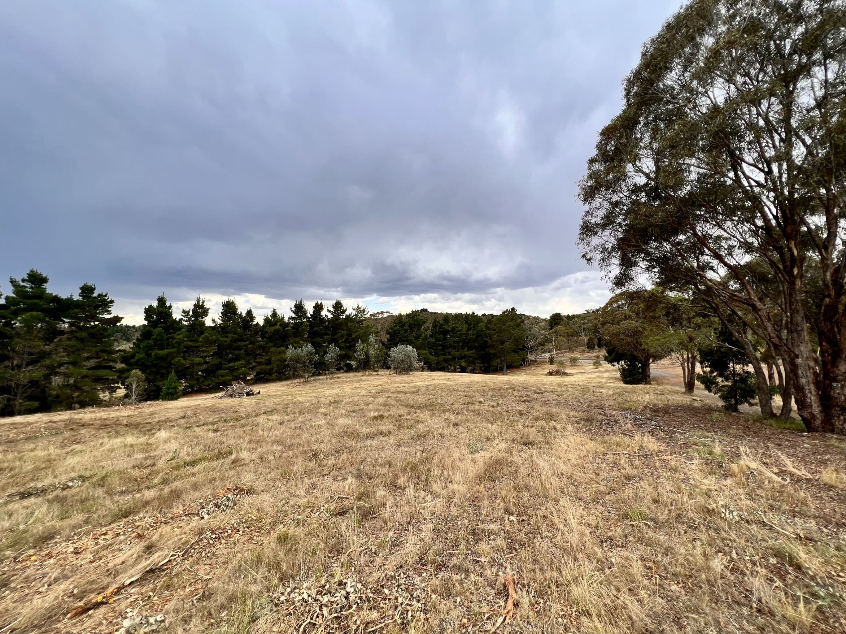 168 Newington Road, Bywong NSW 2621, Bywong - Thumbnail 4