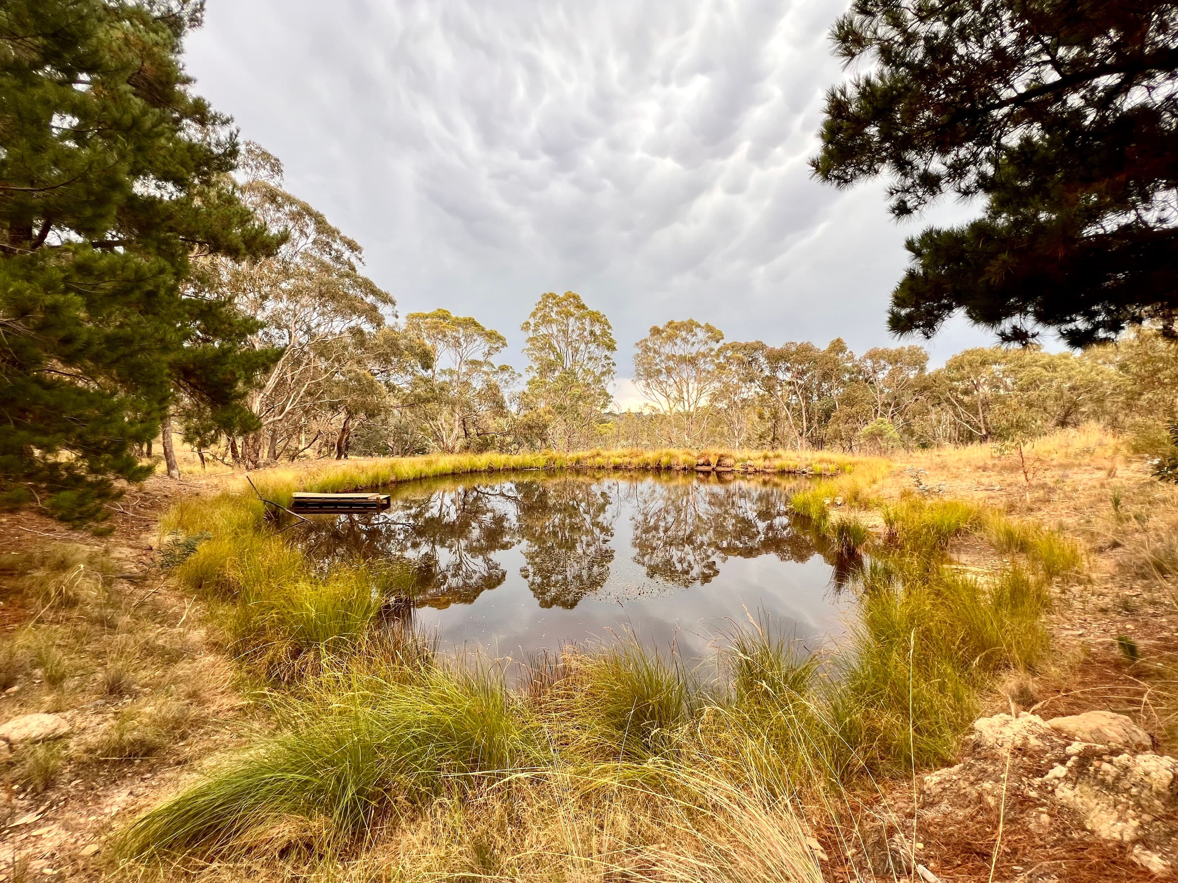 168 Newington Road, Bywong NSW 2621, Bywong - Thumbnail 5