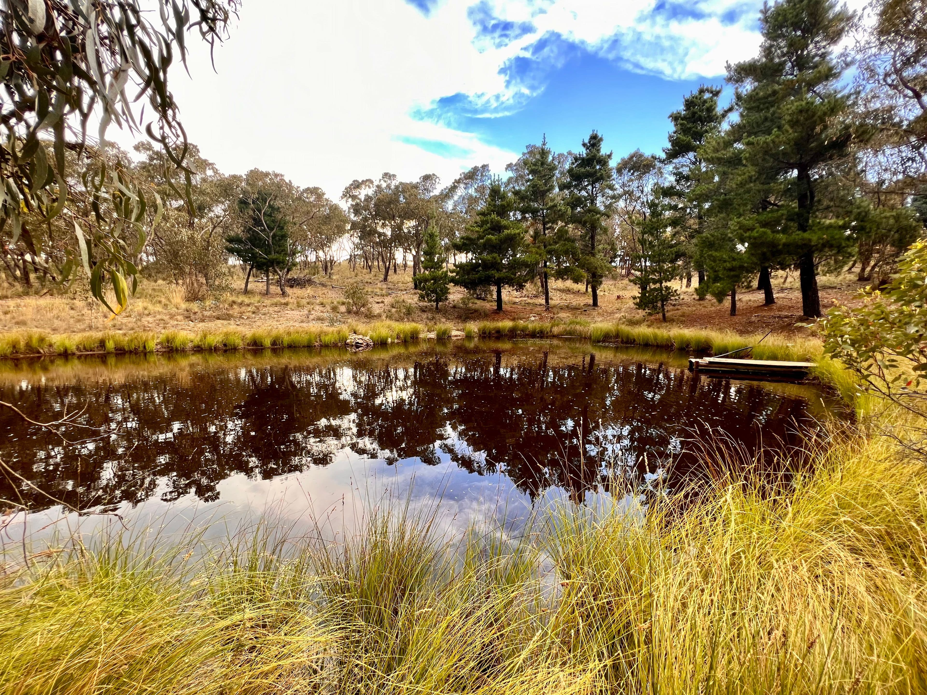 168 Newington Road, Bywong NSW 2621, Bywong - Thumbnail 6