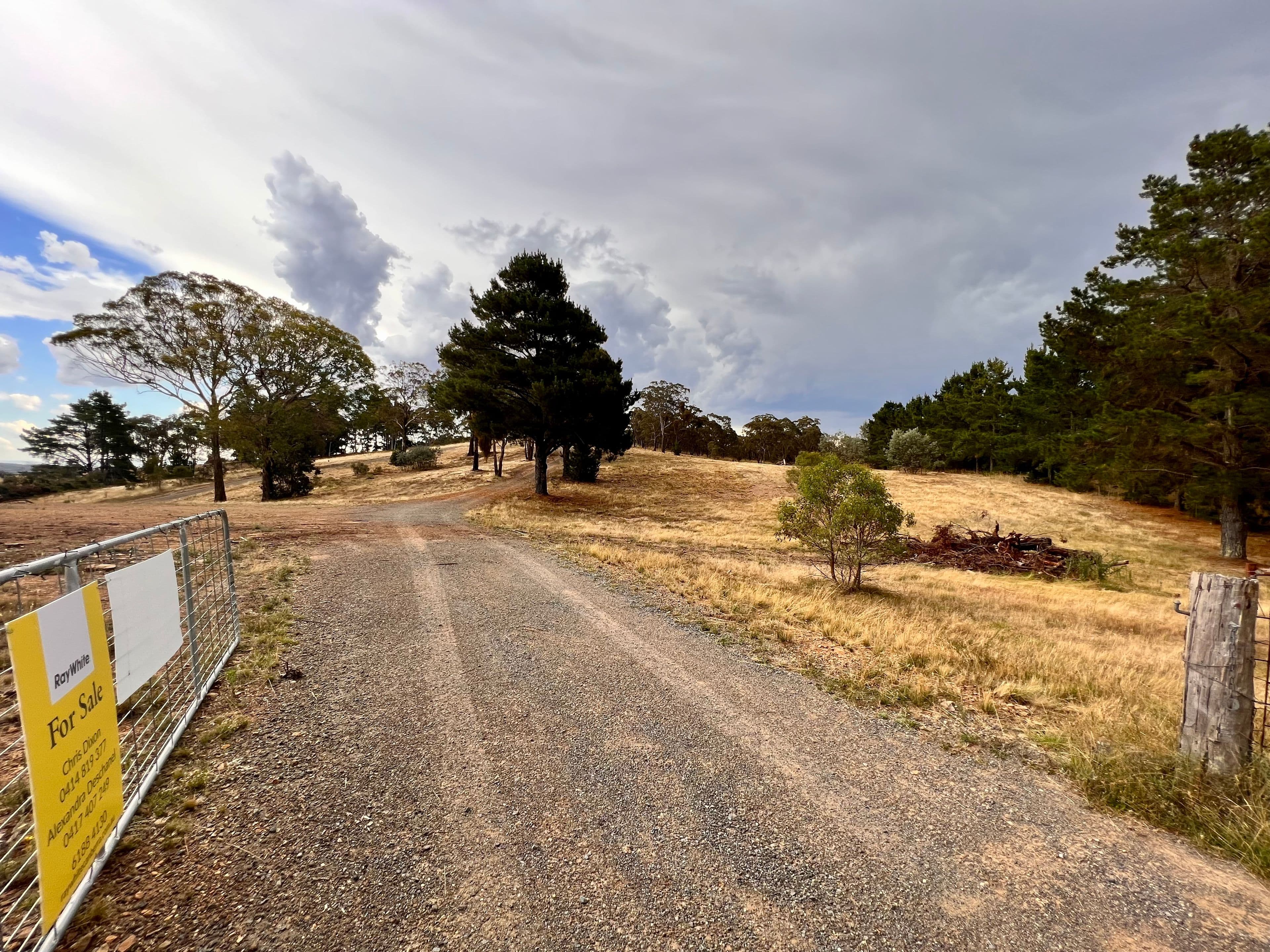 168 Newington Road, Bywong NSW 2621, Bywong - Thumbnail 7