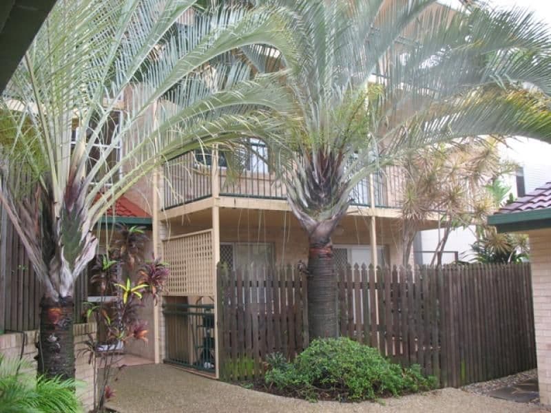 45 Oliver Street, NUNDAH QLD 4012, Nundah - Thumbnail 2