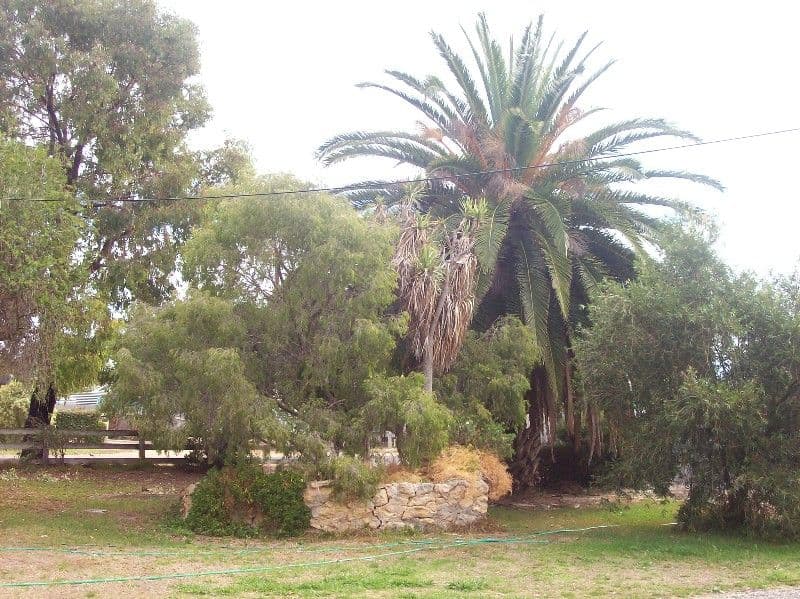 5 Needwood Drive, NARACOORTE SA 5271, Naracoorte - Thumbnail 2