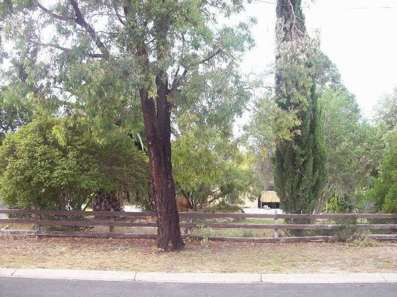 5 Needwood Drive, NARACOORTE SA 5271, Naracoorte - Thumbnail 3