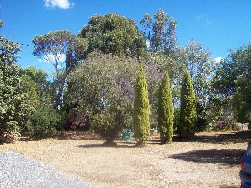 5 Needwood Drive, NARACOORTE SA 5271, Naracoorte - Thumbnail 4