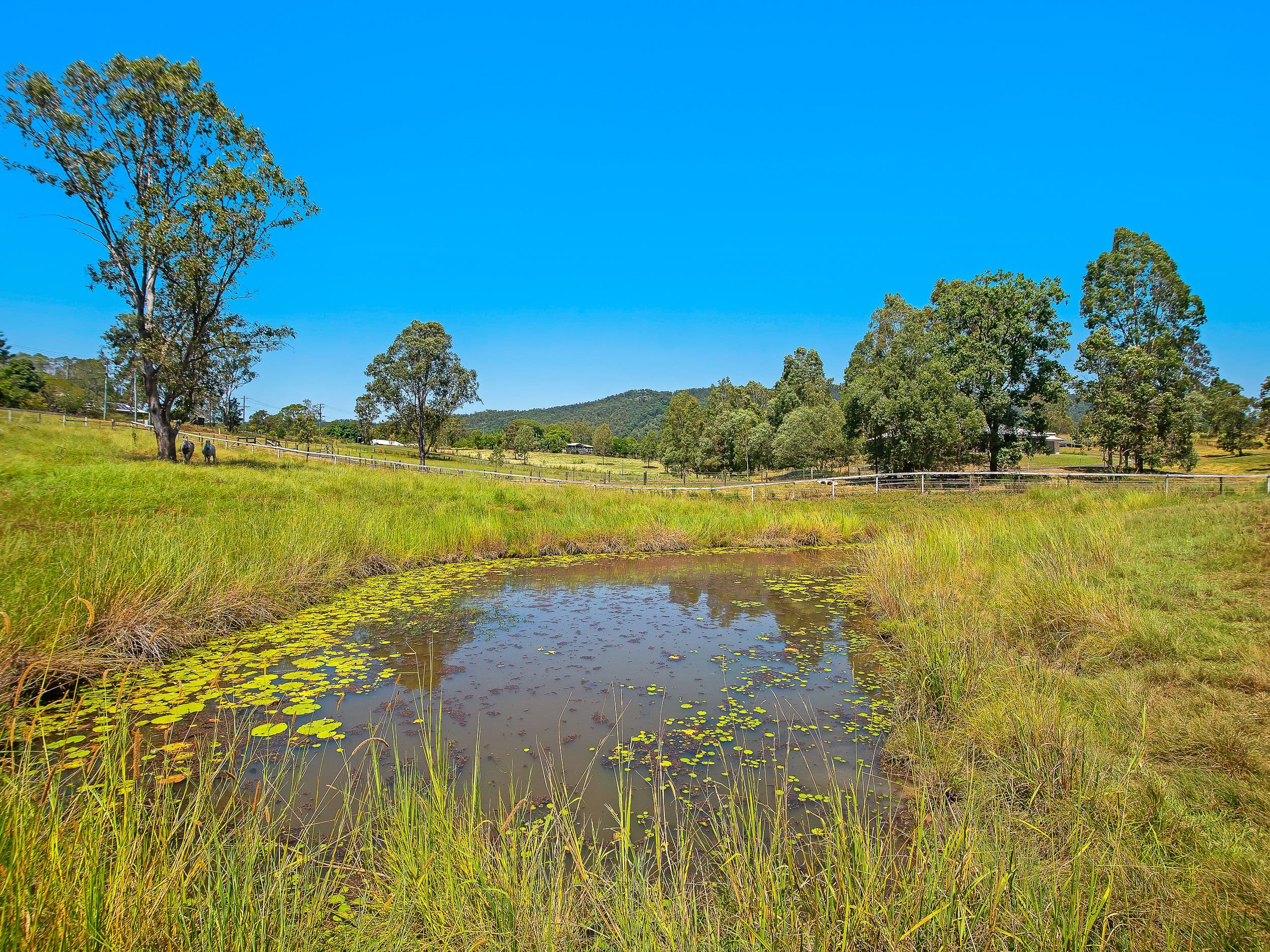 26 Hulcombe Road, Highvale QLD 4520, Highvale - Thumbnail 2