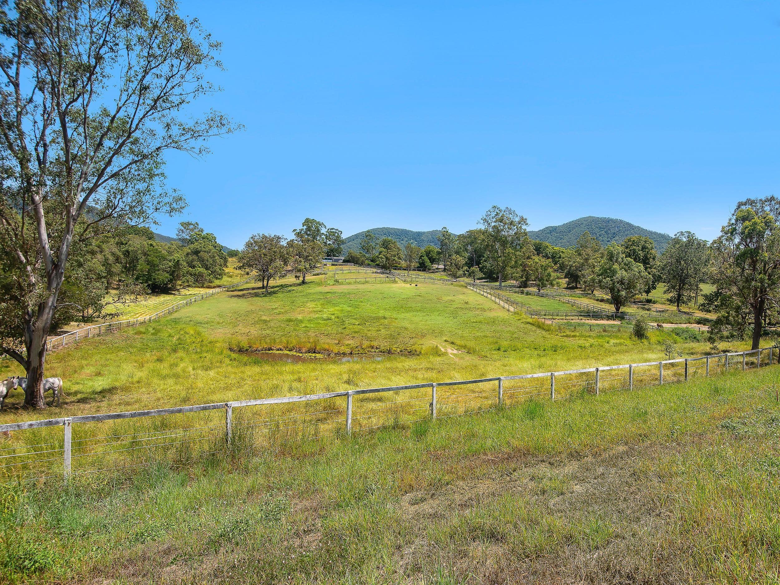 26 Hulcombe Road, Highvale QLD 4520, Highvale - Thumbnail 4