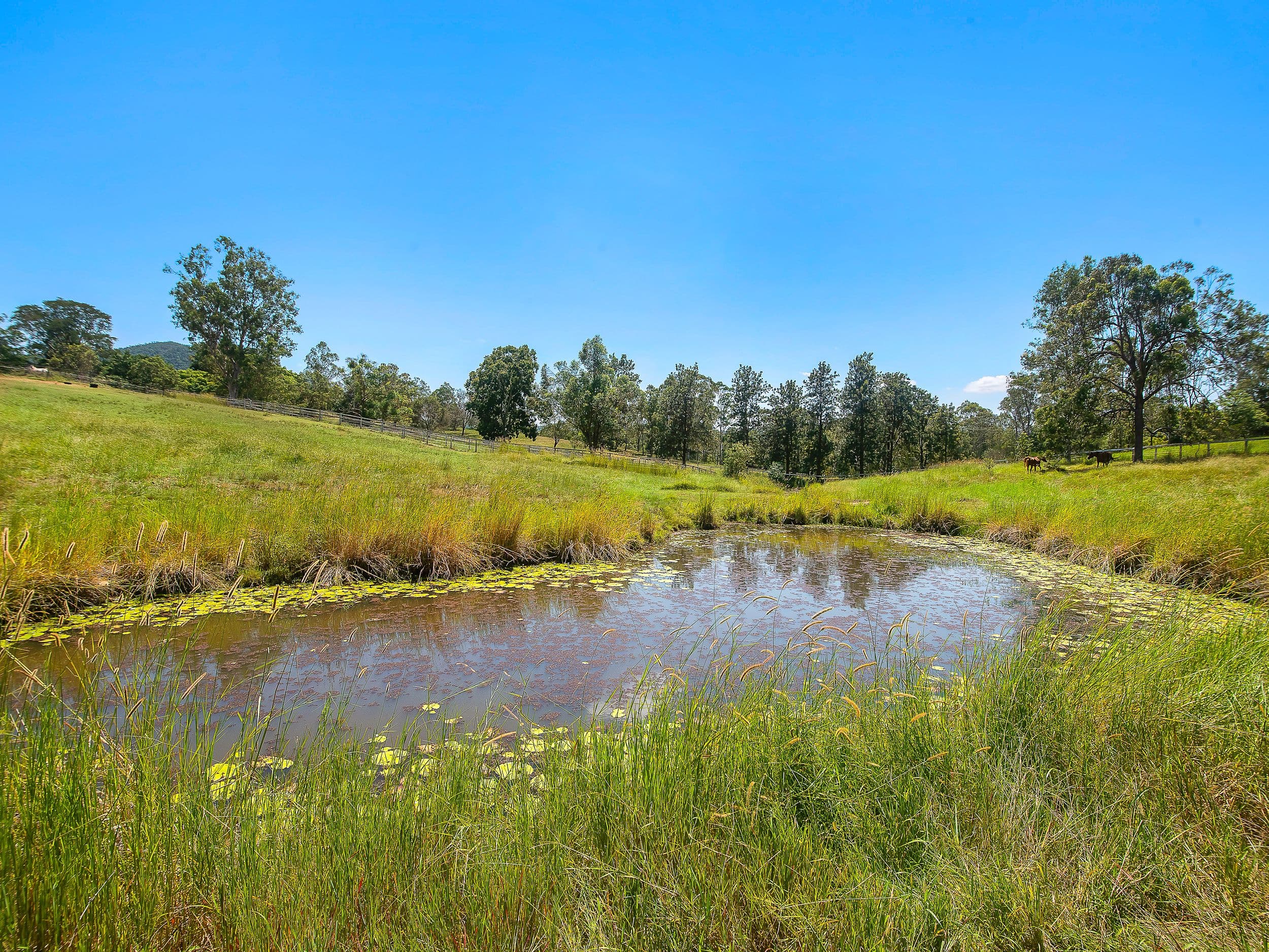 26 Hulcombe Road, Highvale QLD 4520, Highvale - Thumbnail 6