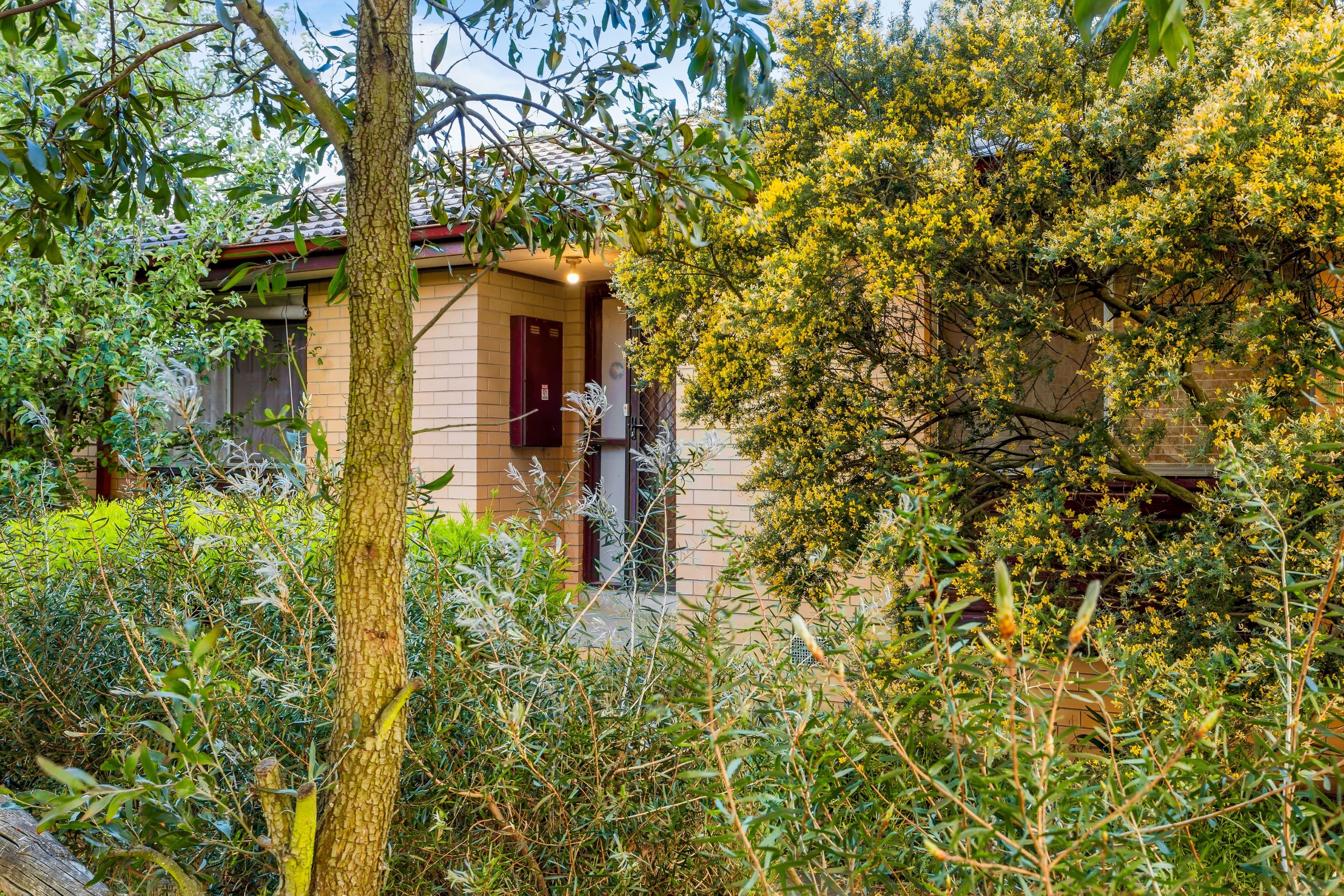 18 Erica Street, Wendouree VIC 3355, Wendouree - Thumbnail 3