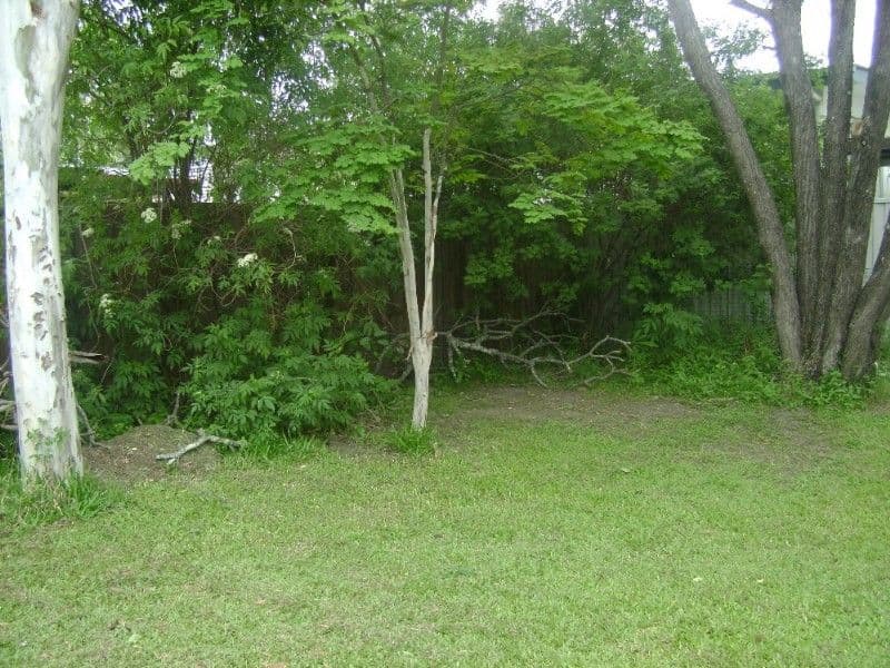 54 Windsor Place, DECEPTION BAY QLD 4508, Deception Bay - Thumbnail 4