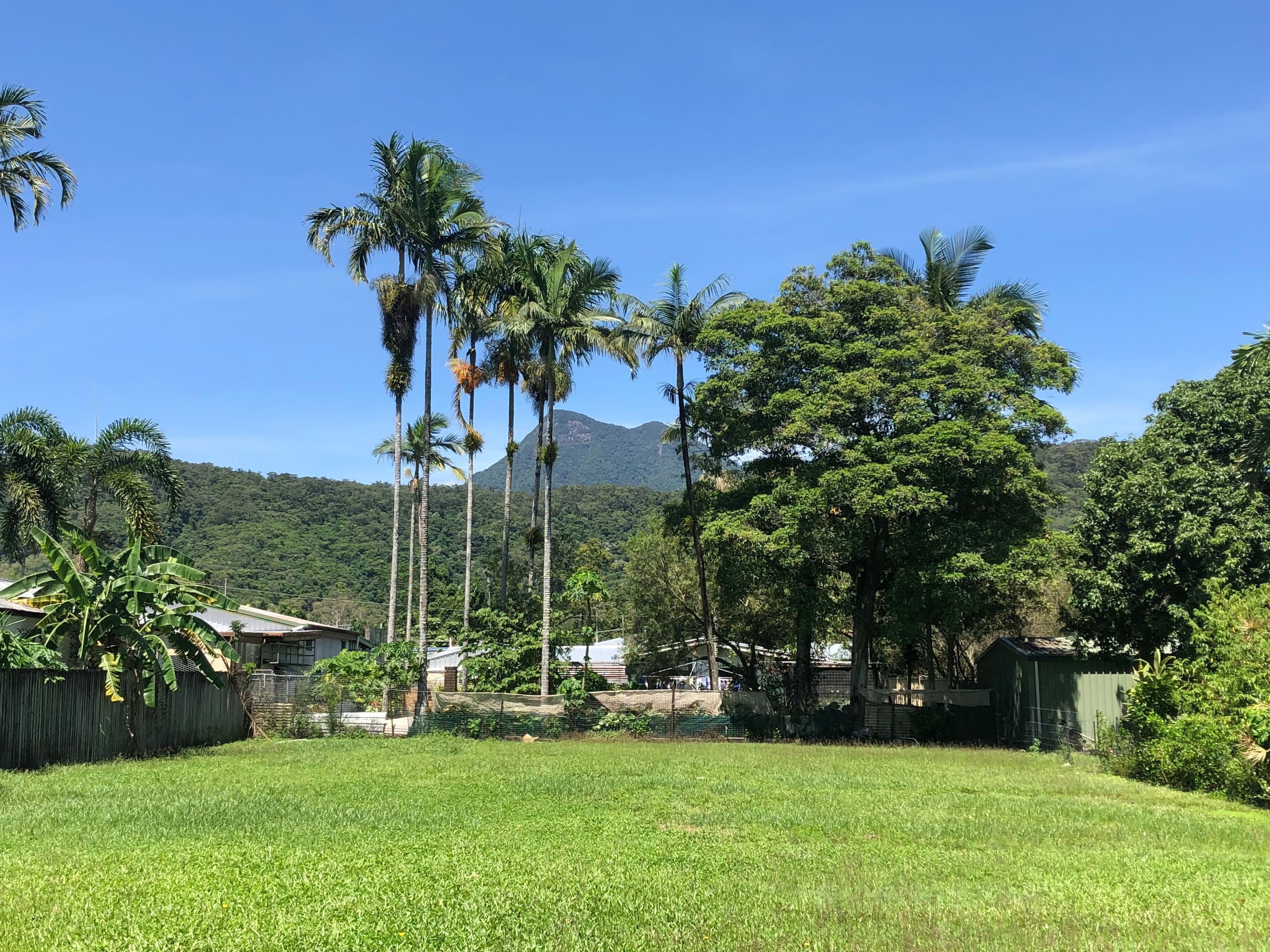 77 Alchera Drive, Mossman QLD 4873, Mossman - Thumbnail 2