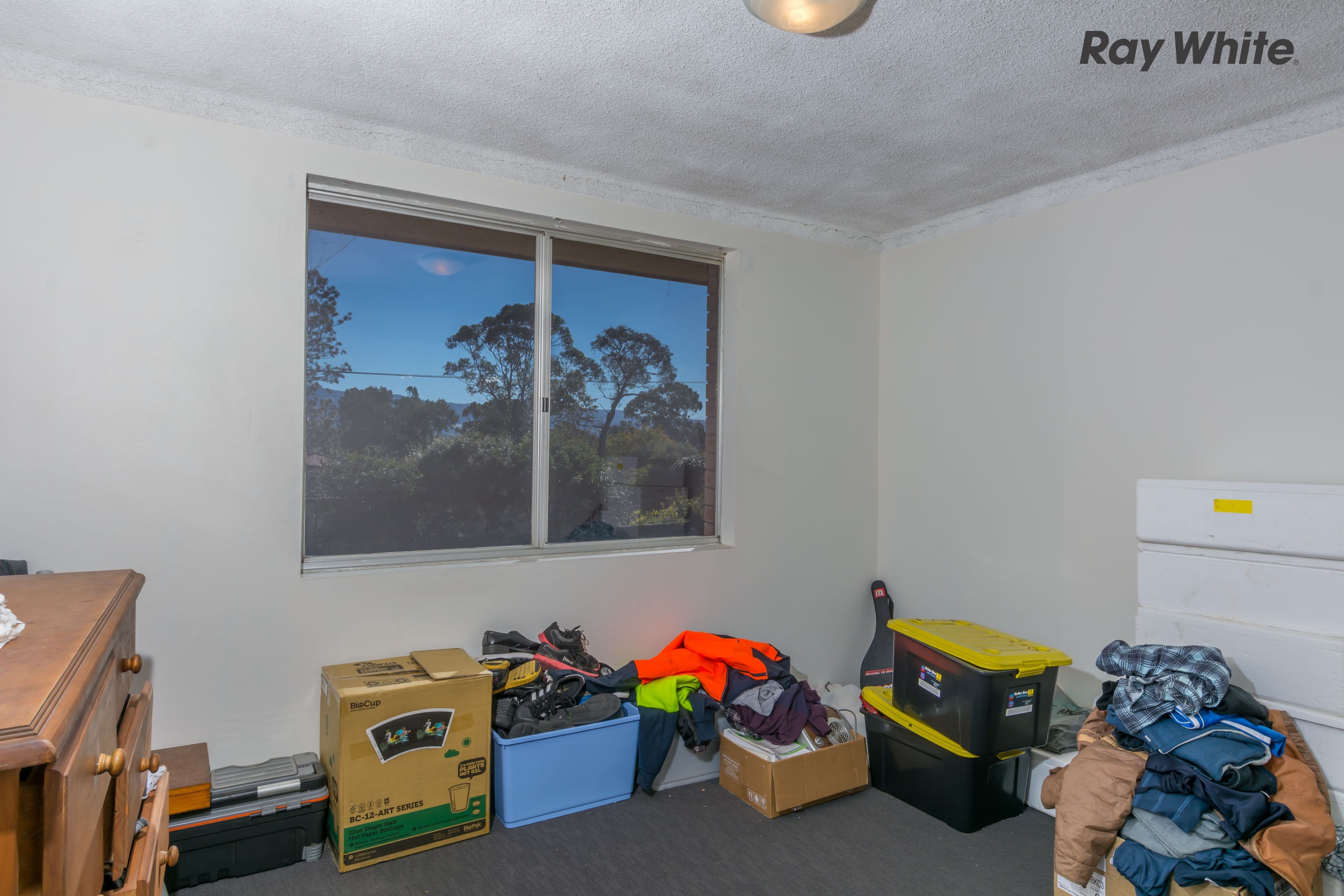 5 Shorland Place, Nowra - Thumbnail 8