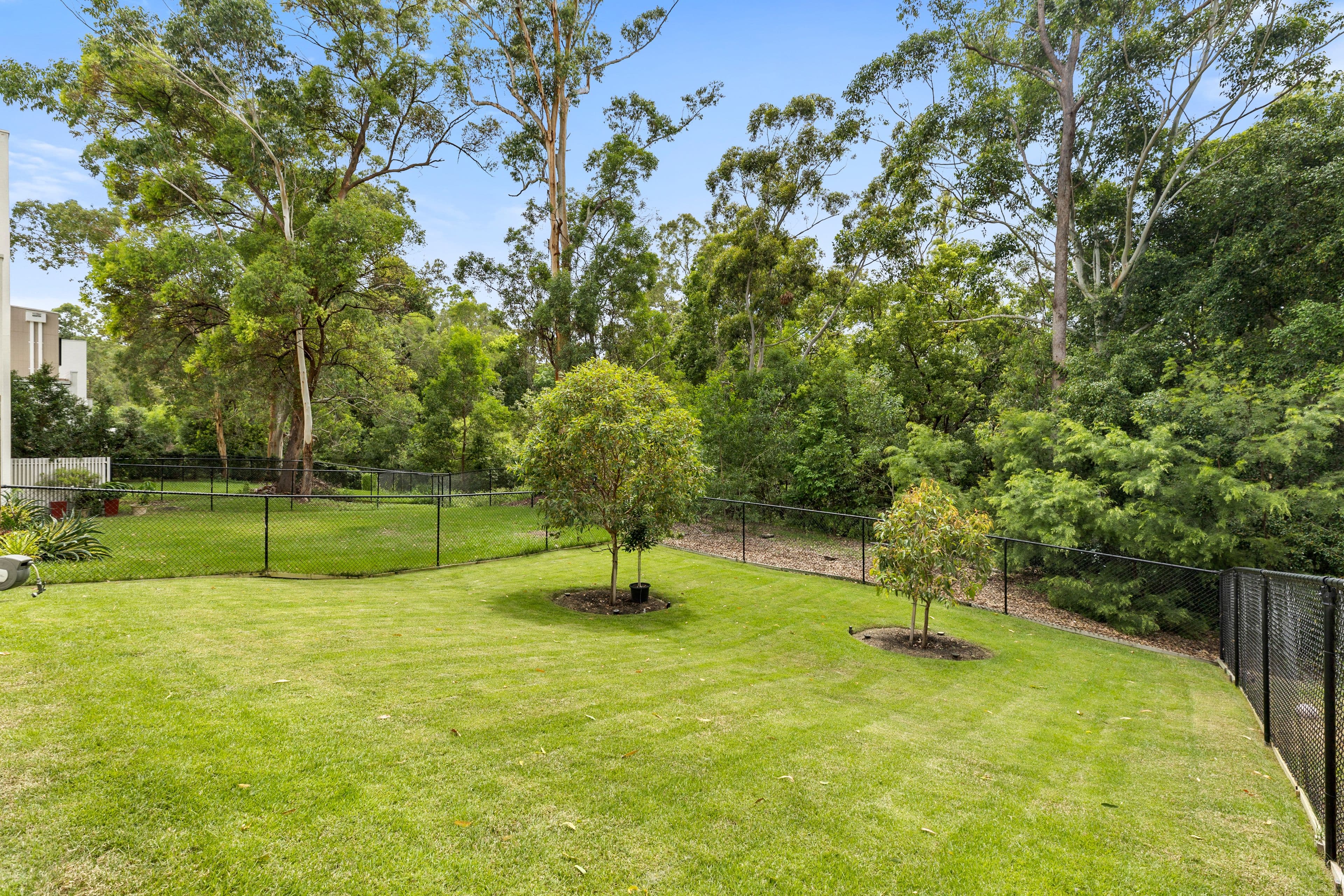 2 Brushbox Court, Chapel Hill QLD 4069, Chapel Hill - Thumbnail 7