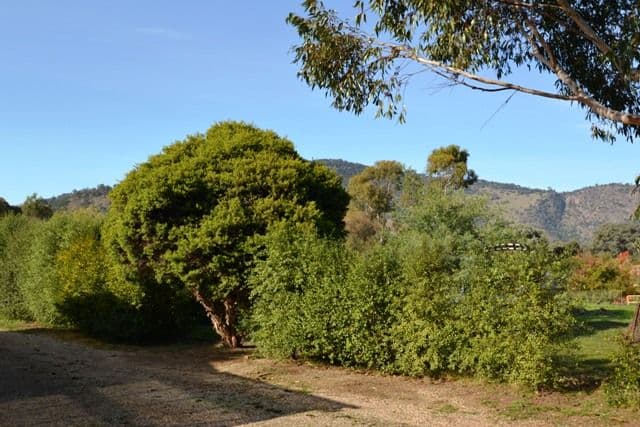 690 Telegraph Road, SEYMOUR VIC 3660, Seymour - Thumbnail 4