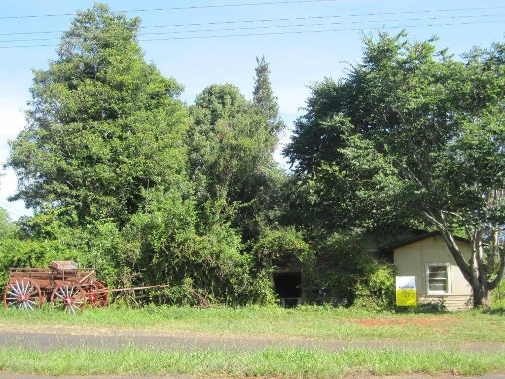 131 James Street, DUNOON NSW 2480, Dunoon - Thumbnail 2