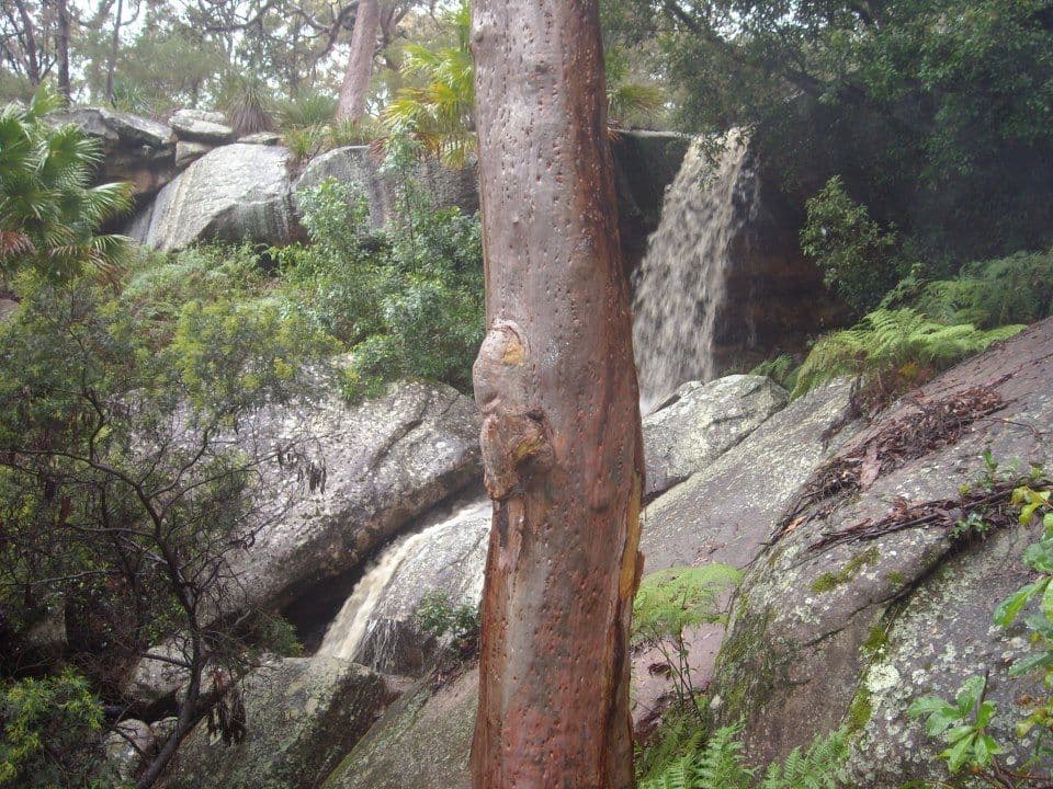 60-70 Bournemouth Street, BUNDEENA NSW 2230, Bundeena - Thumbnail 6