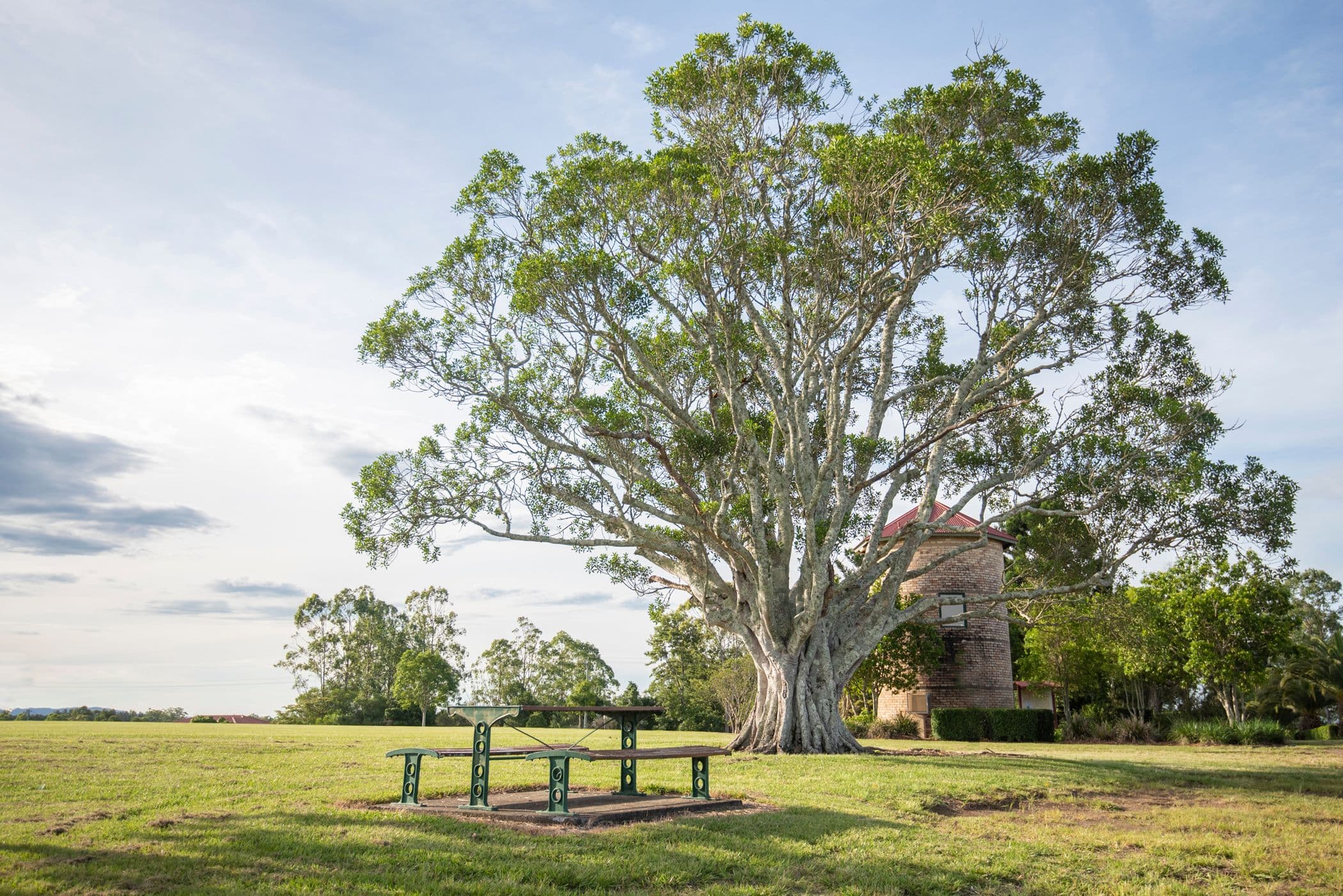 Lot 620 Grey Gum Close, Caniaba NSW 2480, Caniaba - Image 1