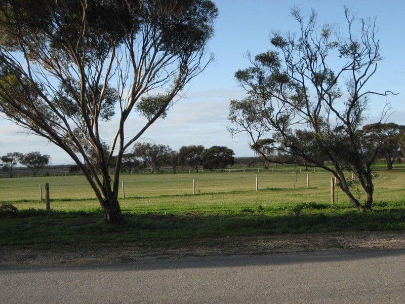 11 Parnell Terrace, PRICE SA 5570, Price - Thumbnail 3