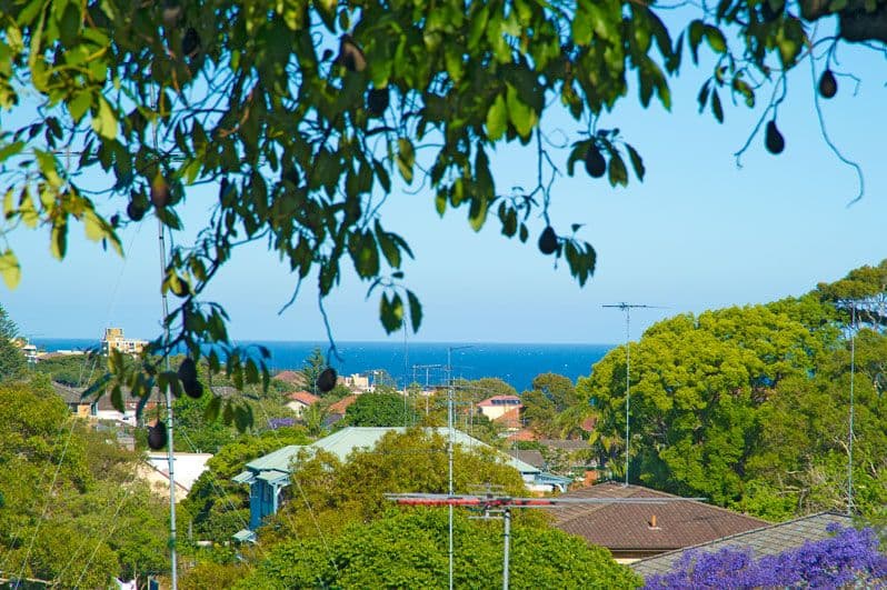 25 Pitt Street, RANDWICK NSW 2031, Randwick - Thumbnail 4
