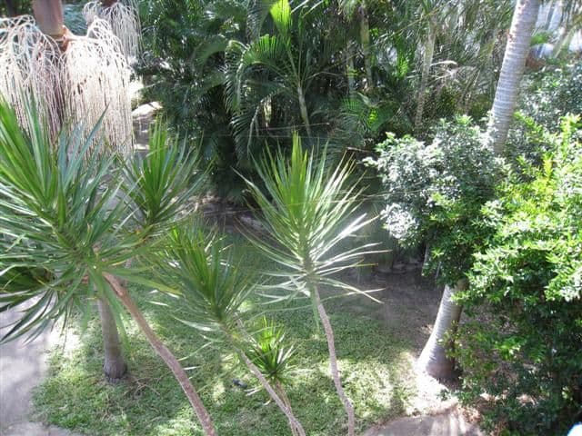 17 Glenlinton Street, HOLLAND PARK QLD 4121, Holland Park - Thumbnail 7