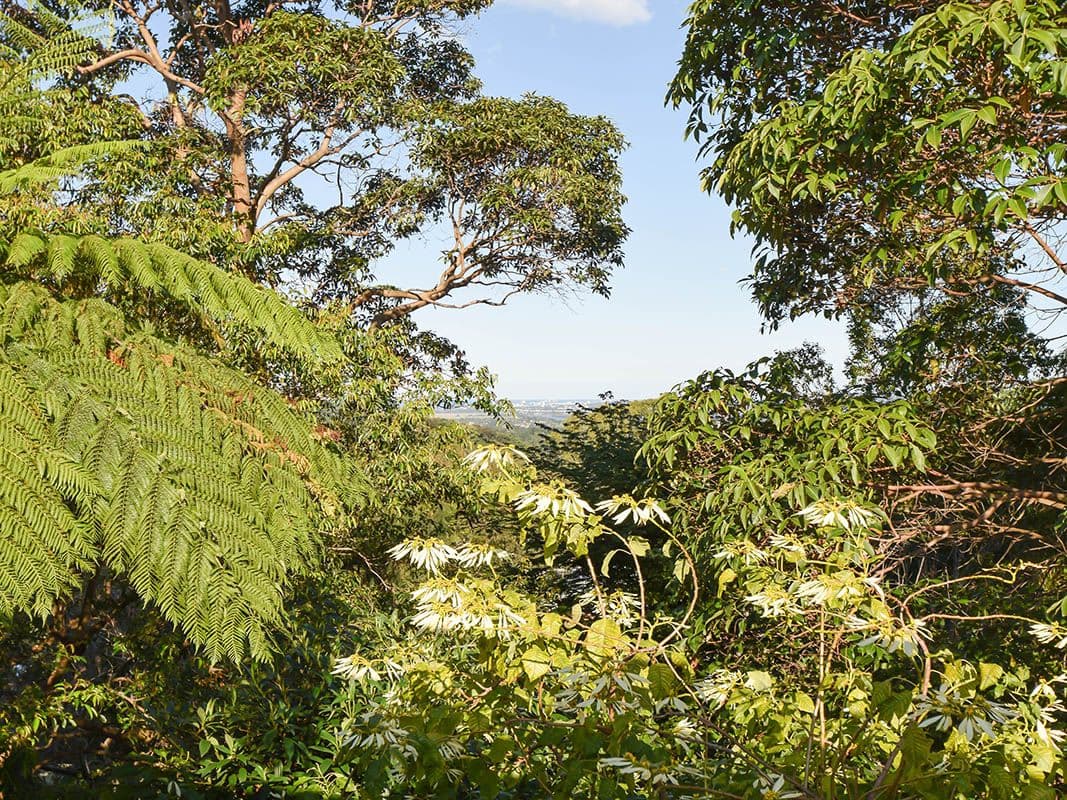116 Atkinson Road, Bli Bli QLD 4560, Bli Bli - Thumbnail 4