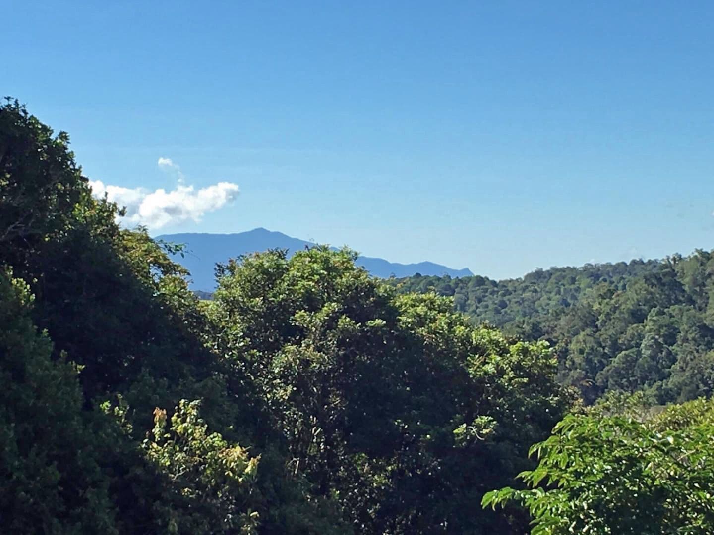 Jaggan QLD 4885, Jaggan - Thumbnail 2