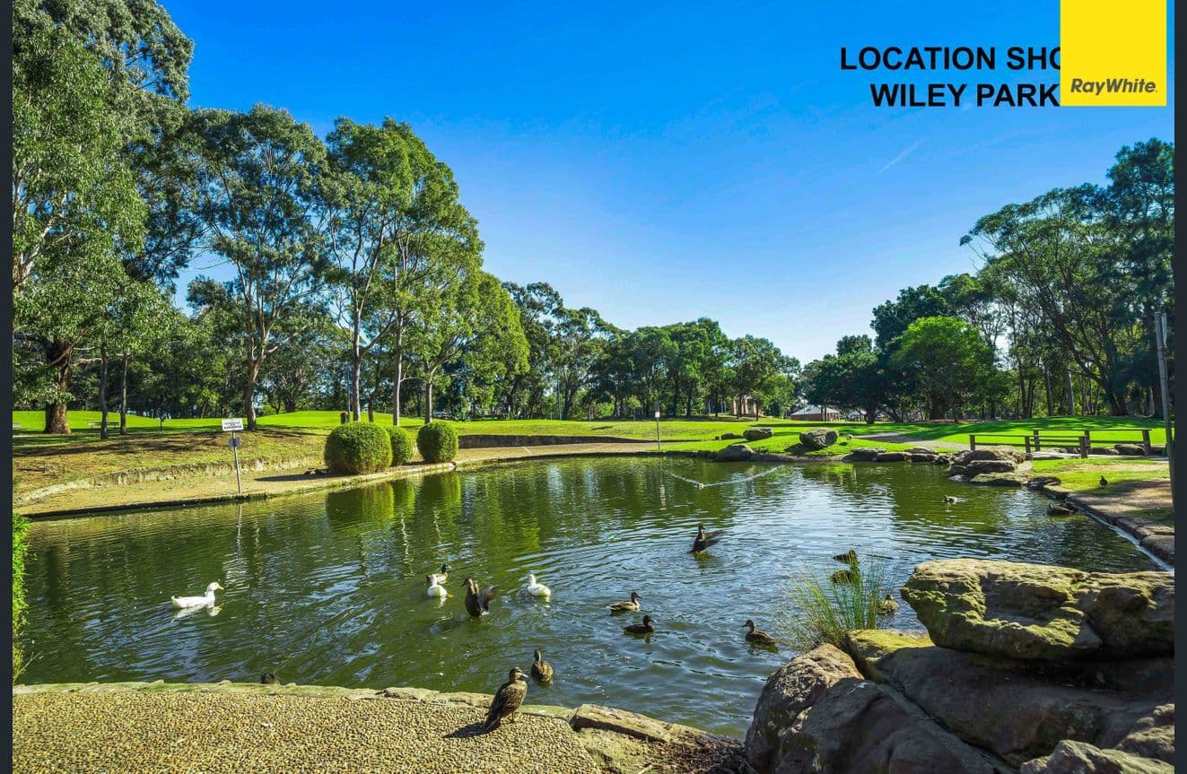 6 Willeroo Street, Lakemba NSW 2195, Lakemba - Thumbnail 8
