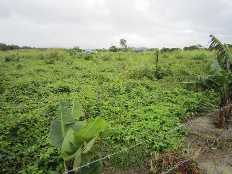 Lot Pine Creek - Yarrabah Road, GLEN BOUGHTON QLD 4871, Glen Boughton - Image 1