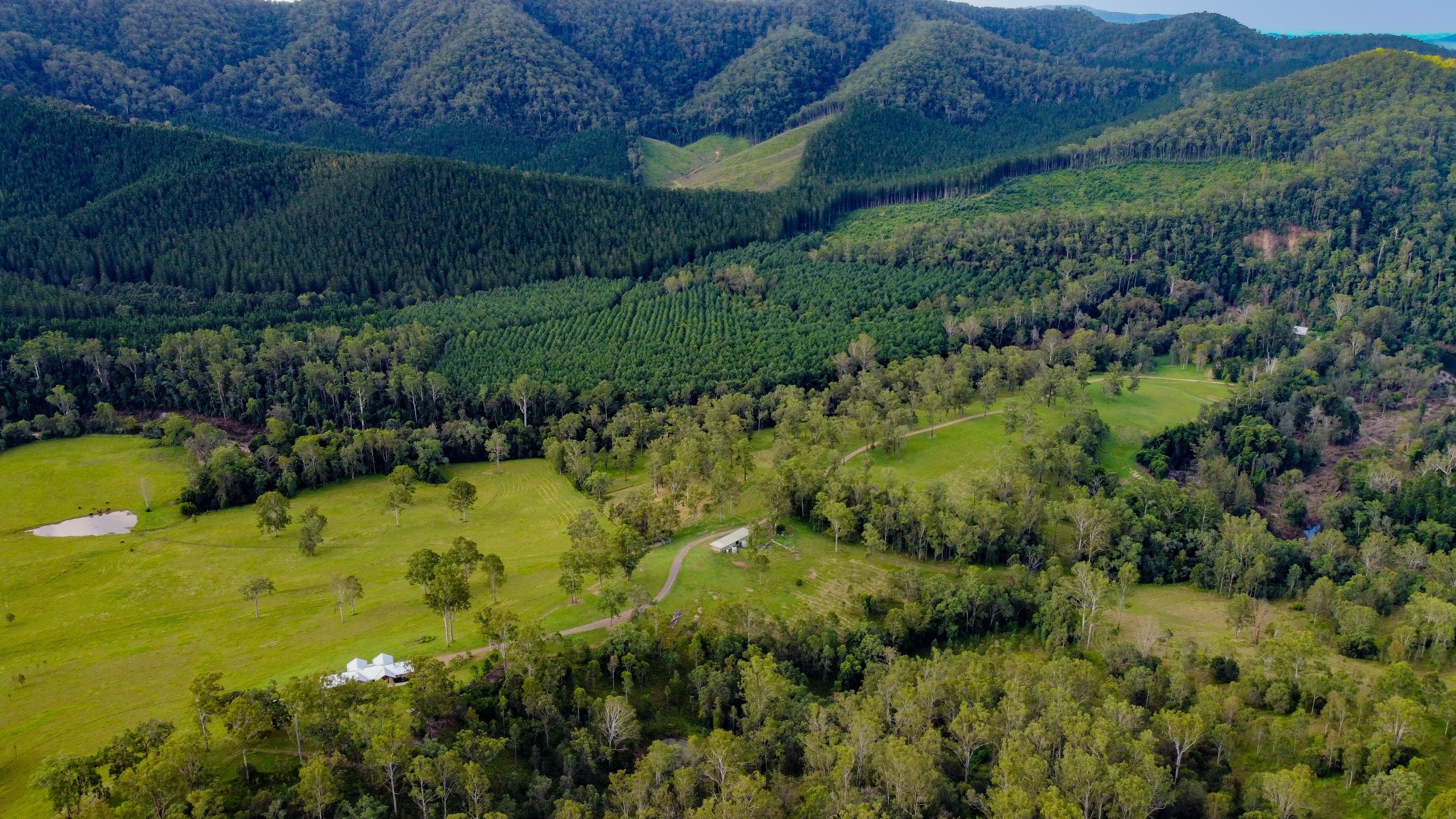 151 Sunday Creek Road, Kenilworth QLD 4574, Kenilworth - Thumbnail 2