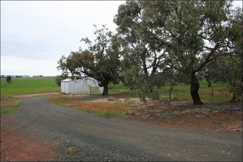 351 School Road, COROP VIC 3559, Corop - Thumbnail 4