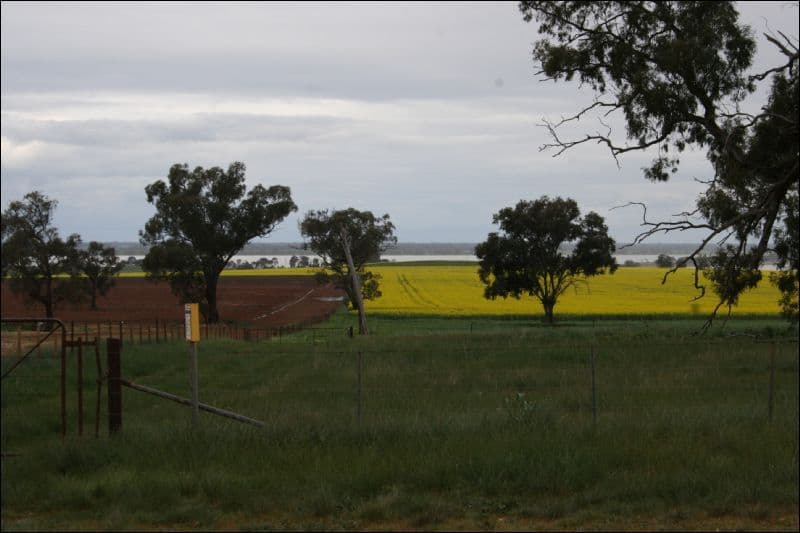 351 School Road, COROP VIC 3559, Corop - Thumbnail 5