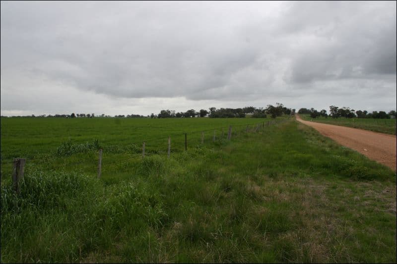 351 School Road, COROP VIC 3559, Corop - Thumbnail 6