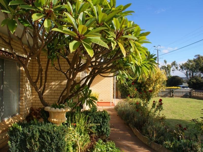 70 Mulgundawah Road, MURRAY BRIDGE SA 5253, Murray Bridge - Image 1