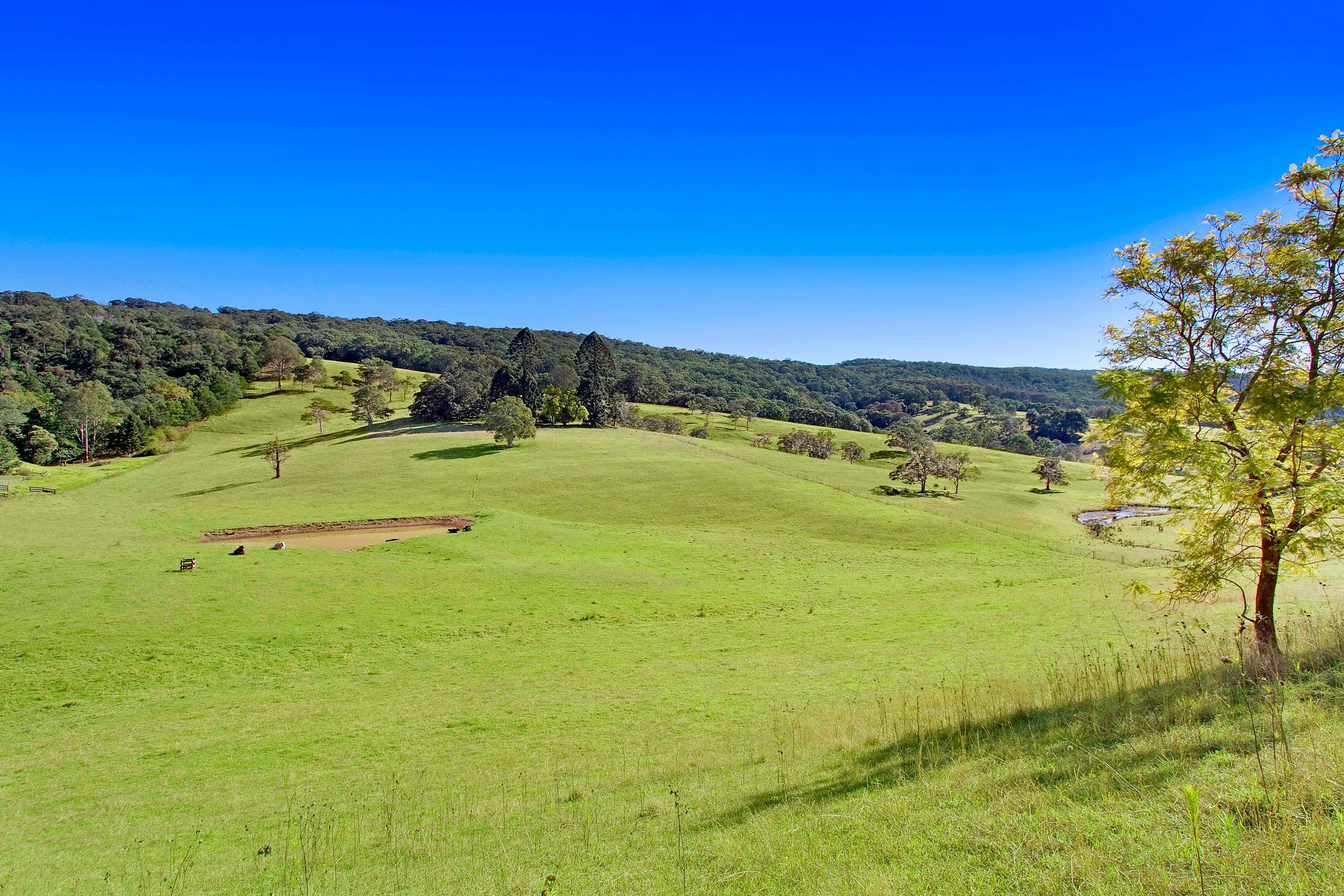 10 Bowen Mountain Road, Grose Vale - Thumbnail 3