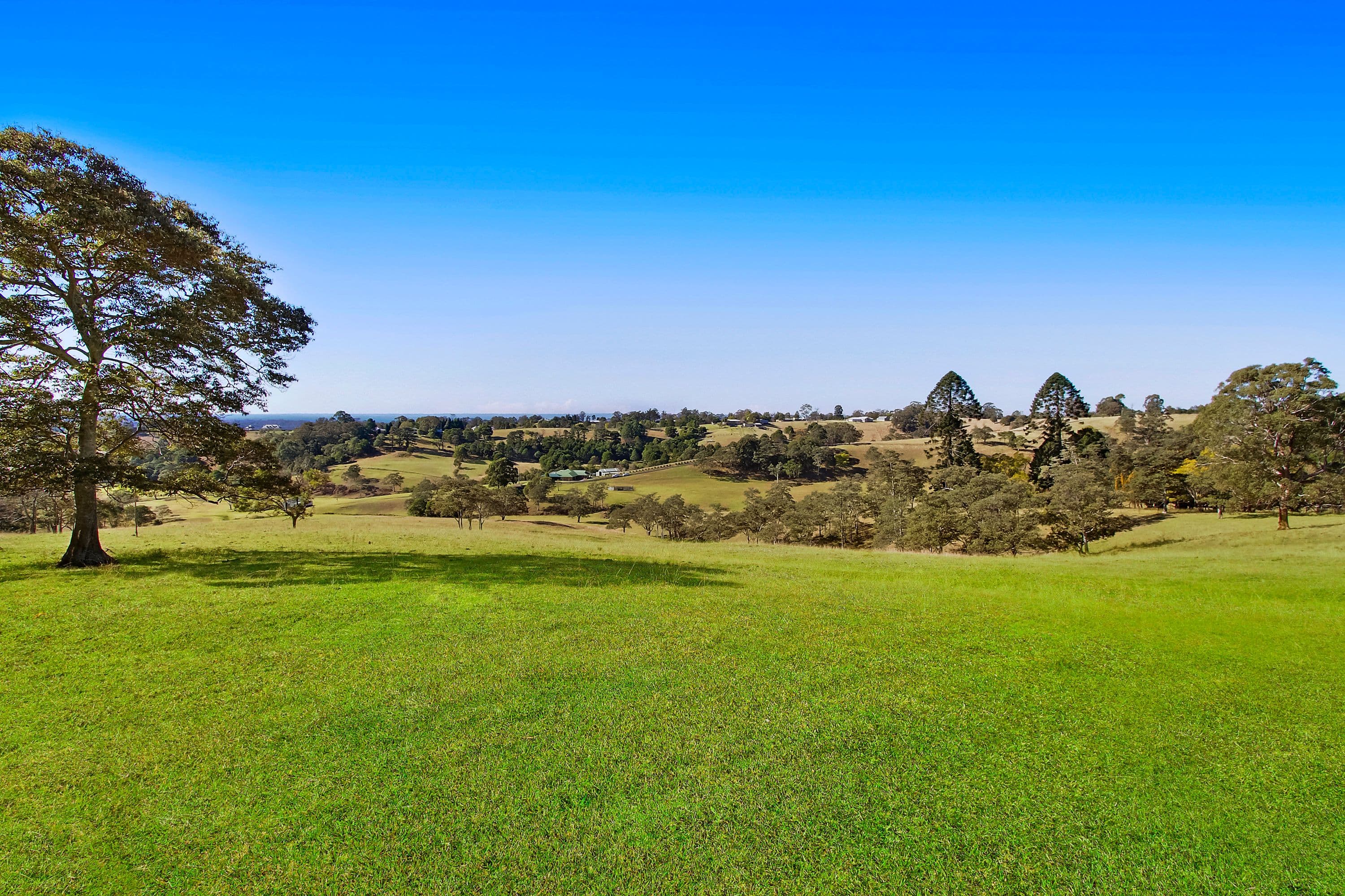 10 Bowen Mountain Road, Grose Vale - Thumbnail 8