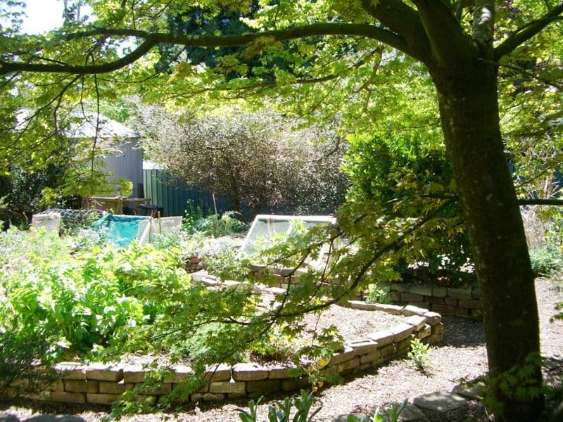 17 Letitia Street, KATOOMBA NSW 2780, Katoomba - Thumbnail 2