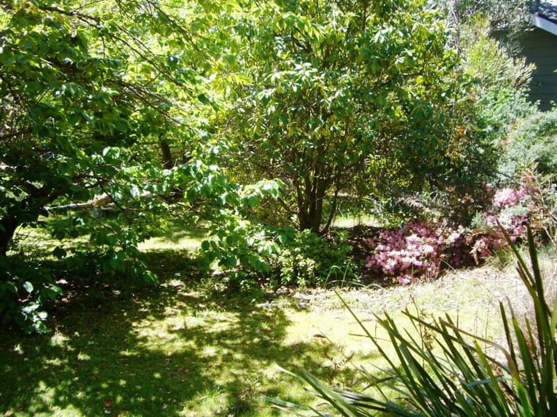 17 Letitia Street, KATOOMBA NSW 2780, Katoomba - Thumbnail 3